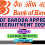 Bank of Baroda Apprentice Recruitment 2025
